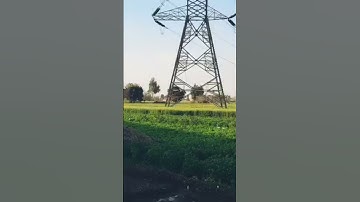 من سورة هود الكريمة تلاوة نادرة بصوت صاحب الحنجرة الذهبيةالشيخ عبدالباسط عبدالصمد #القران_الكريم #دو