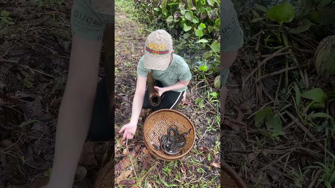 Навыки выживания при ловле угрей, позволяющие поймать много крупных угрей.