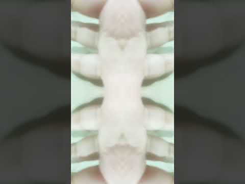 الشعب الصيني ماله حل