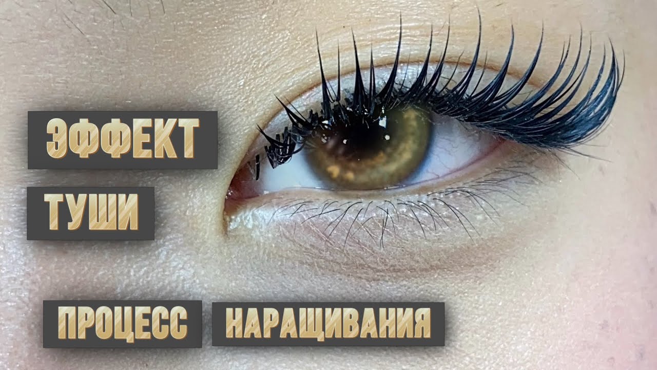 Процесс наращивания ресниц авторского эффекта  Туши 4д схемы наращивания для лэшмейкера