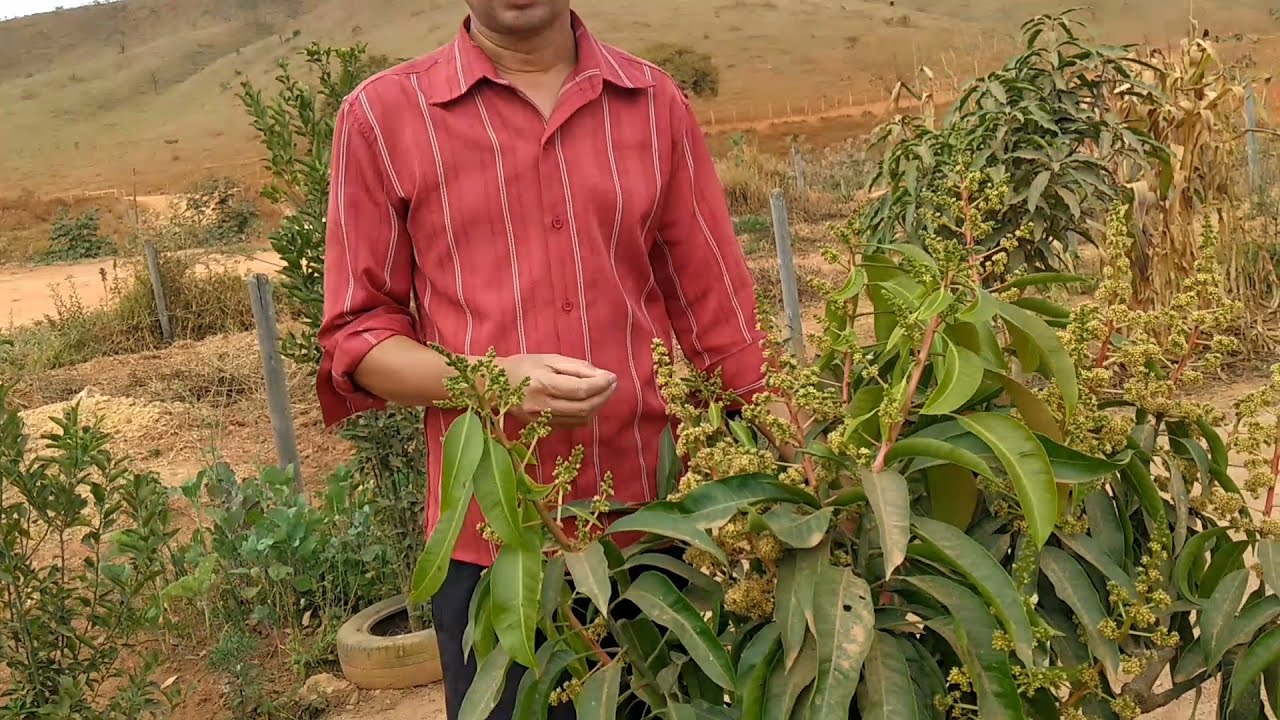 Que maravilha!!!Deu certo !!! Está aprovado.