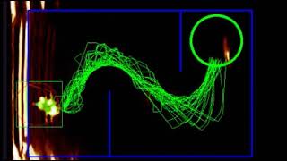 Master Thesis Experiments - Surgical Robotics lab
