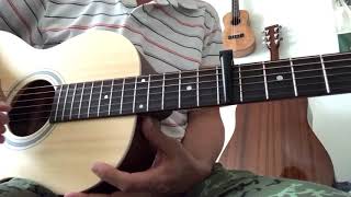 How to play “Thorn Tree in the Garden / Derek &amp; the Dominos” Tutorial Video Recording King RP-M9M