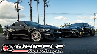 CHASING 8s with TWO 1100HP WHIPPLE GT500s! | We Let the Young Brothers Loose at the Track!