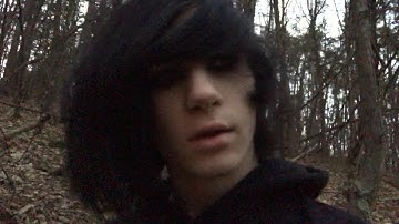 Sasquatch-Like Stick Structures in the Woods