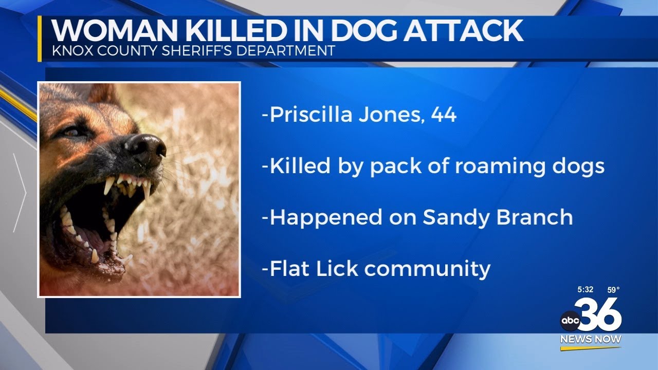 Woman attacked, killed by pack of dogs - YouTube