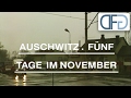 Auschwitz - F&uuml;nf Tage im November 1995 (Doku &uuml;ber Auschwitz als Museum)