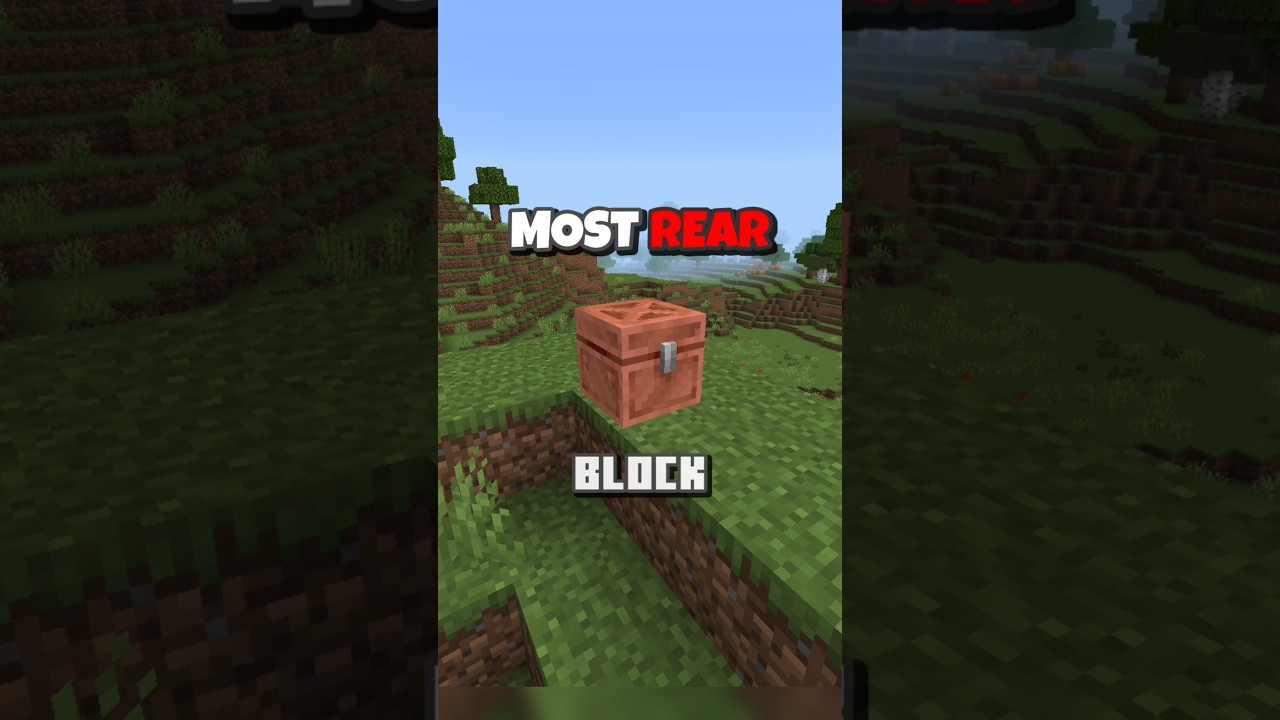 What's The rarest block in minecraft??..