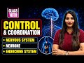 🔥 Nervous System &amp; Endocrine System Explained | Control and Coordination | Class 10 Science 