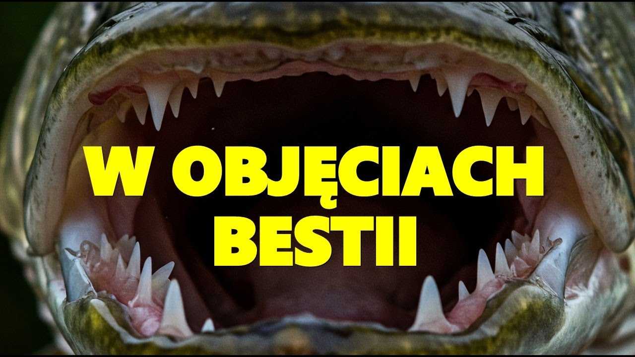 NURKOWANIE 25.05.2025 JEZIORO HONORATKA, SPOTKANIE PRZEOGROMNEGO SZCZUPAKA  :)
