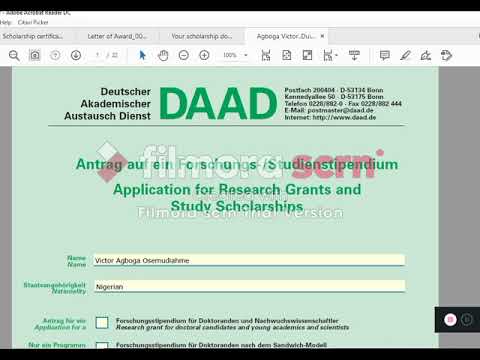 How to apply for the Helmut Schmidt DAAD Scholarship