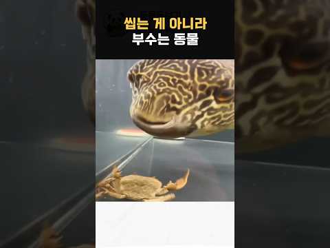 씹는게 아니라 부수는 동물