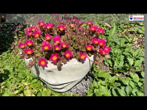 2045 Mountain Sage Drive, Highlands Ranch, CO home video tour