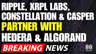 Ripple, XRPL Labs, Constellation, Casper Partner With Hedera & Algorand on Decentralized Recovery