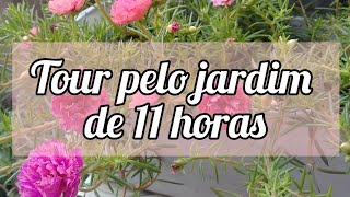 Tour Pelo Jardim De 11 Horas