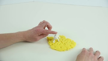 Playdough Learning Video for kids - Video Modeling (Play actions, words, songs)