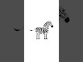 Zebra Kick Progress #shorts