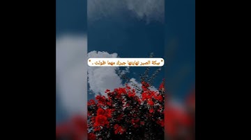 سورة القمر  @islam_sobhi