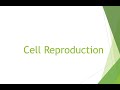 Grade 10 Cell Reproduction Grade 10 Cell Reproduction
