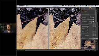 DxO Webinar: Bring out hidden detail with Sharpener Efex Pro