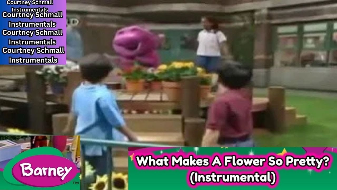 Barney: What Makes A Flower So Pretty? (Instrumental)