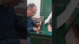 Professor Tadeu Filipe - Cravo