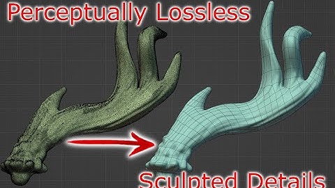 Perceptually Lossless Retopology - Lose no sculpted details + Petik Addon