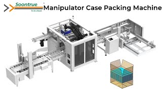 Bundle tissue case packing machine - Soontrue Tissue machine