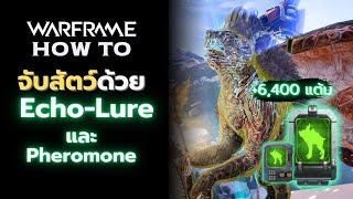 WARFRAME 37.0.11 | Thai-ไทย | วิธีการจับสัตว์ด้วย Echo-Lure และ Pheromone