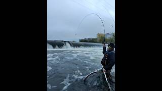 The A-team Master Angler #fishing #outdoors #salmon #wildlife