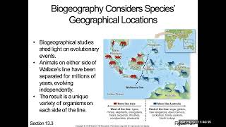 68  C13P2 Homology vs analogy B21