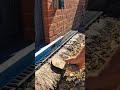 ACO Channel drains getting done⚒️ #landscaping #channel #drain #water #howto #tips #diy #fyp #fypage