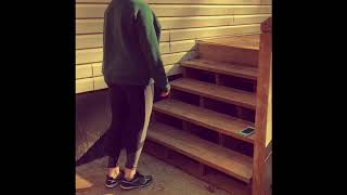 YMCA 3min Step Test