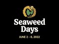 Seaweed Ambassador Messages