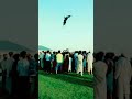 دا جنت جنت وطن