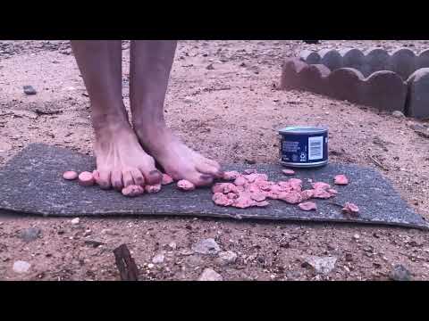 Vienna Sausages