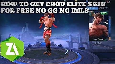 CHOU ELITE PAINTED SKIN SCRIPT FULL EFFECT WITH FRAME