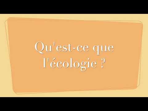 Vidéo: Qu'est-ce Que L'écologie Du Langage