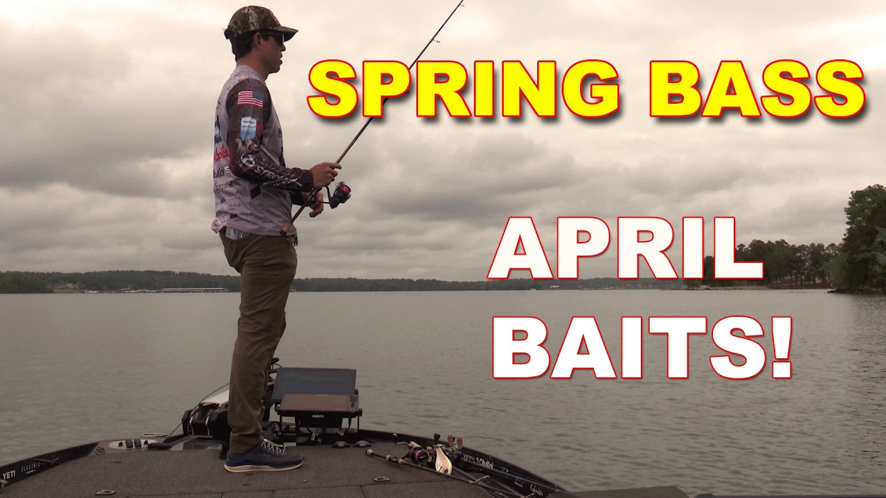 Top 5 Baits for April Bass Fishing (Elite Pro Matty Wong) | Bass Fishing