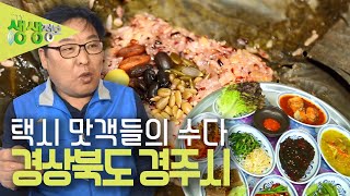 택시맛객들의 수다 : 지붕 없는 박물관! 경상북도 경주시 [2TV 생생정보] | KBS 230424 방송