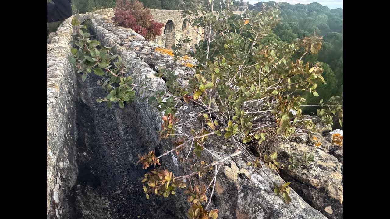 Aqueduto dos Pegões sob avaliação após alerta para riscos estruturais