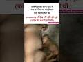 Koe khane को नहीं पूछ रहा🥲#trending #popular #labrador #tweetreels #ytshorts #funny #youtubeshorts