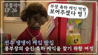 전주 강아지 케이크 맛집 바크데이 [콩플레이스] EP.26