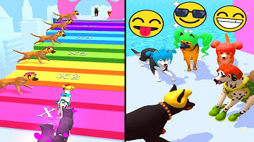 Groomer Run 🐕🌈️🎊 New Update All Levels (Gameplay Walkthrough Level)