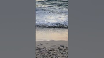 Thumbnail of Young Skimboarder Hits a Wave and Flies into The Air #Shorts