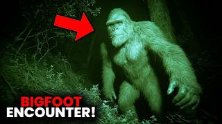 9 Times Bigfoot Researchers Came Face to Face with Terror - Compilation!
