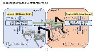 Distributed Feedback Controllers for Stable Cooperative Locomotion of Quadrupedal Robots