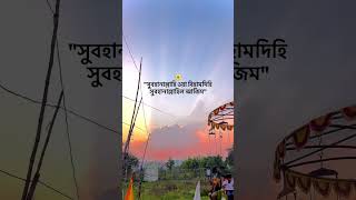 #funny #bdnews #foryou #shortvideo #love #bdcricket #reelvideo #viralvideo #worldcup #foryoupage