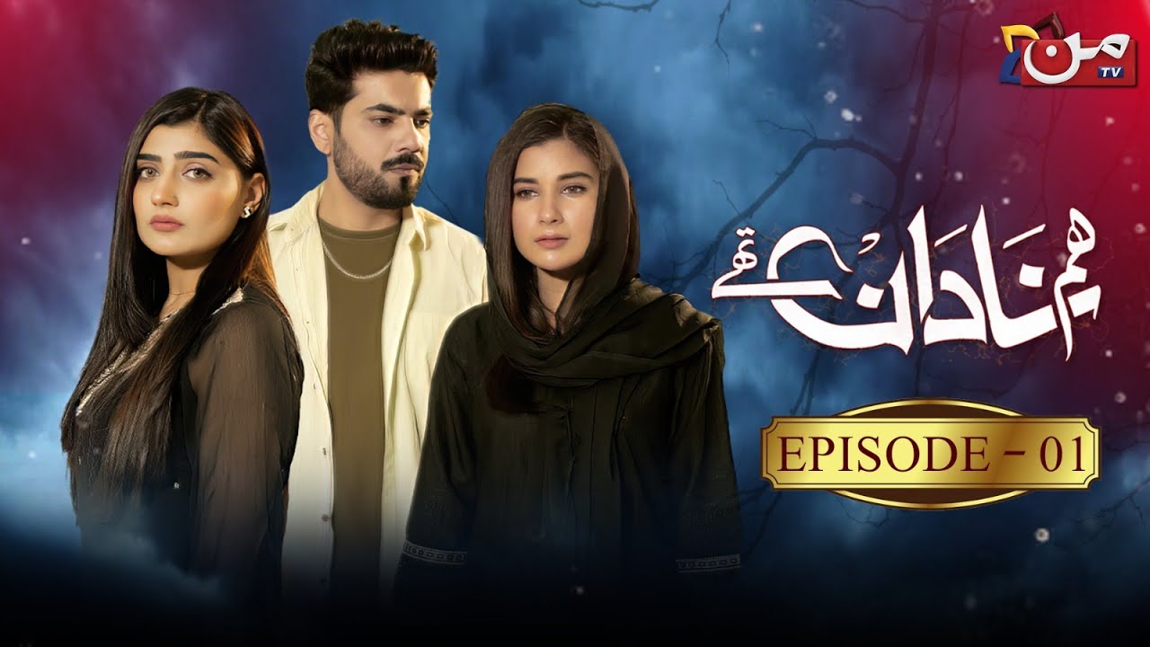 Hum Nadan Thay - (Every Wednesday) - poster