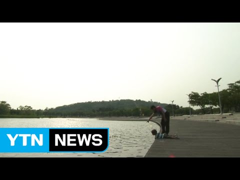 [날씨] 내일 내륙 맑고 무더위...서쪽 지방 소나기 / YTN